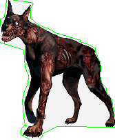 Cerberus
