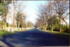 nangal_road.jpg (166373 bytes)