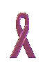 /user/pinkrbn1.gif