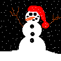 /user/snowwink.gif