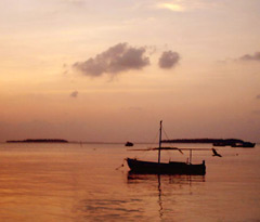 dhoani anchored near beach