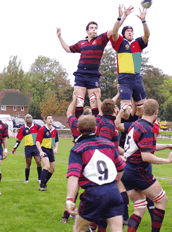 from www.sapperrugby