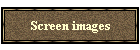 Screen images