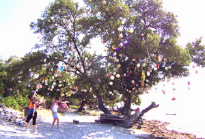 Sweethart Tree 2