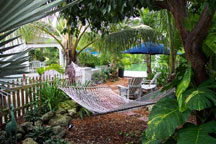 Garden Hammock