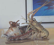 Nancy's Lobsters 