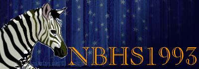 nbhs1993