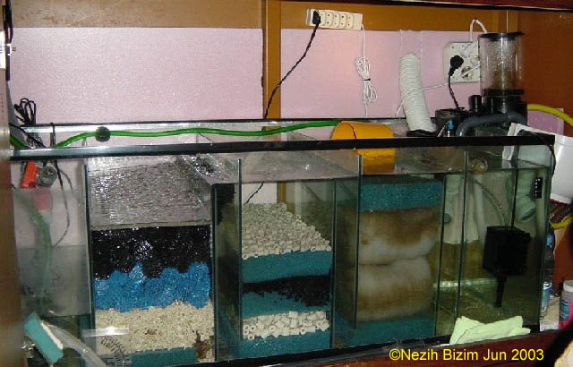 Sump