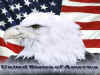 AmericanEagleWP-1024x768.jpg (612588 bytes)