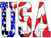 USAinit.jpg (79502 bytes)