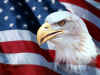 eagle_1024.jpg (86253 bytes)