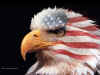 usa-eagle-1024.jpg (348104 bytes)