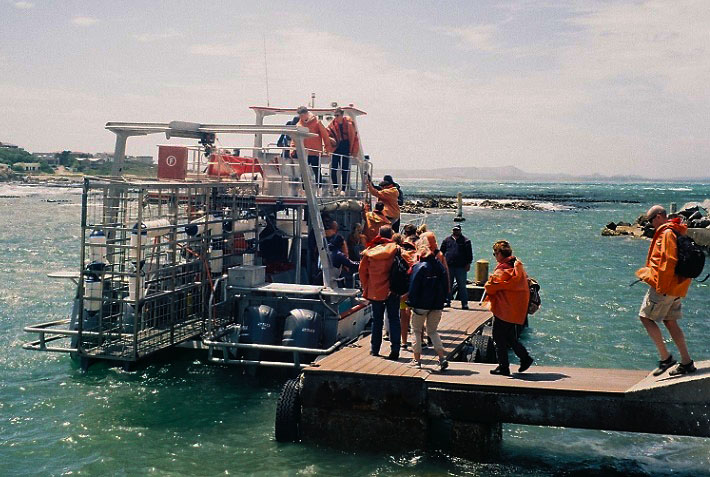 Image of Cage Diving departure