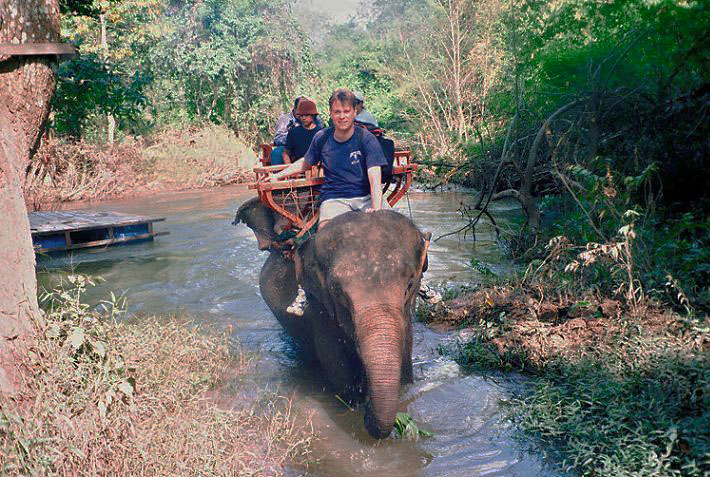 Image of elephant riding Image of elephant riding