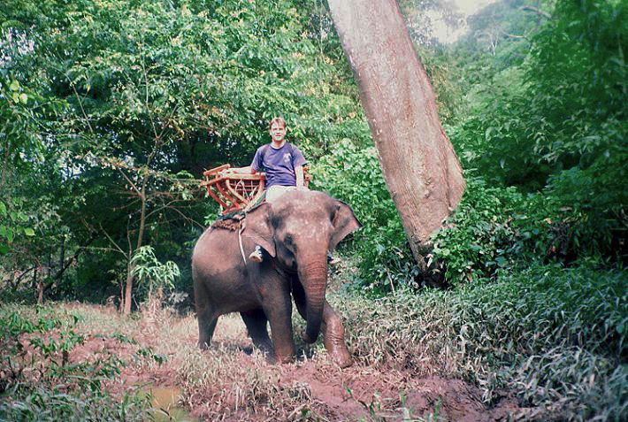 Image of elephant riding Image of elephant riding