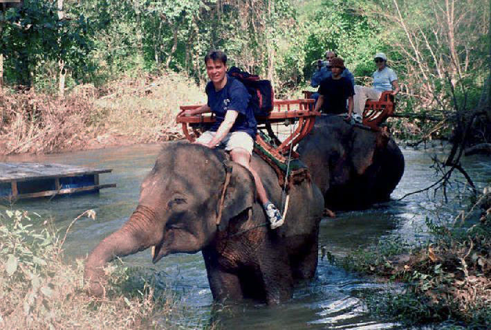 Image of elephant riding Image of elephant riding