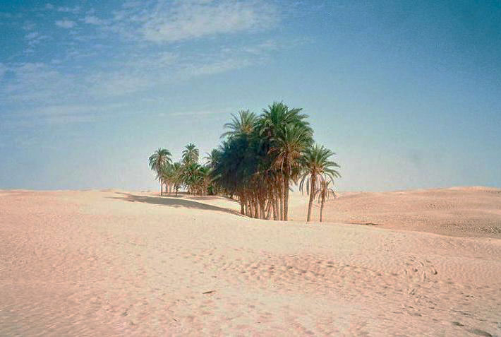 Image of Sahara Desert