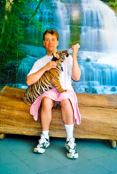Image of tiger-feeding Image of tiger-feeding