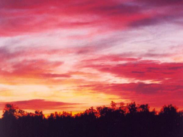 � 1998 Nancy C. Diamond, All Rights Reserved