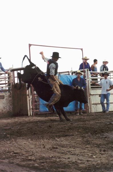 � 1999 Nancy C. Diamond, All Rights Reserved