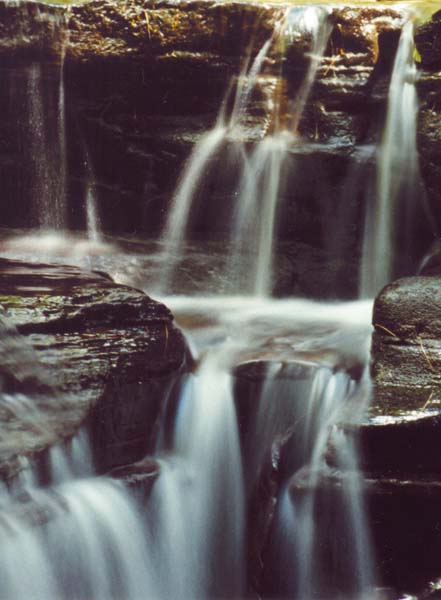 � 1999 Nancy C. Diamond, All Rights Reserved