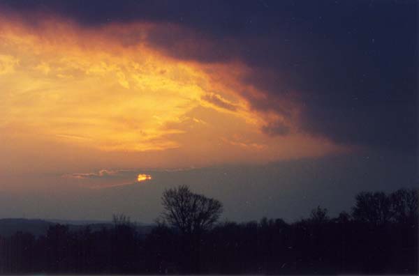 � 1999 Nancy C. Diamond, All Rights Reserved