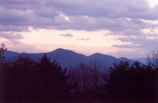 � 1999 Nancy C. Diamond, All Rights Reserved