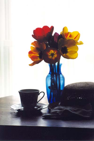 � 2000 Nancy C. Diamond, All Rights Reserved