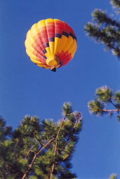 � 2000 Nancy C. Diamond, All Rights Reserved