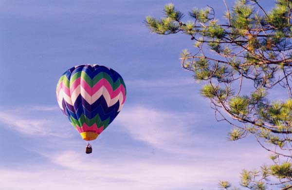 � 2000 Nancy C. Diamond, All Rights Reserved