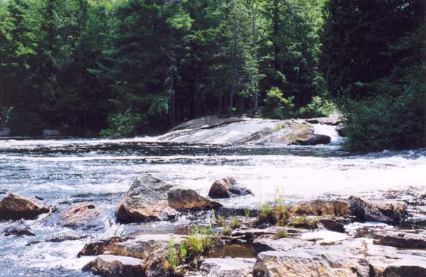 � 2000 Nancy C. Diamond, All Rights Reserved