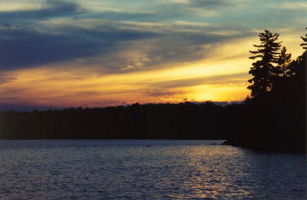 � 2000 Nancy C. Diamond, All Rights Reserved
