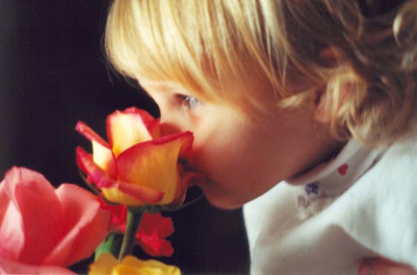 � 2001 Nancy C. Diamond, All Rights Reserved