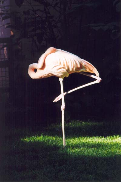 � 2001 Nancy C. Diamond, All Rights Reserved