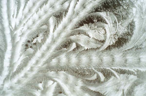 � 2003 Nancy C. Diamond, All Rights Reserved