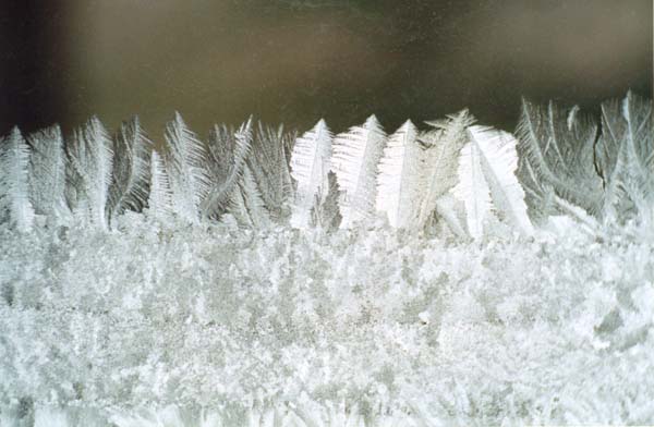 � 2003 Nancy C. Diamond, All Rights Reserved