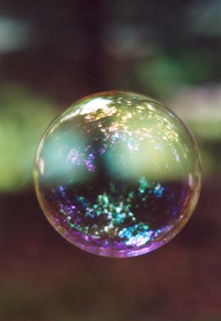 � 2003 Nancy C. Diamond, All Rights Reserved