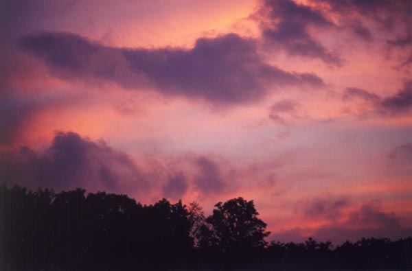 � 2003 Nancy C. Diamond, All Rights Reserved
