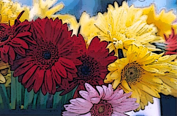 � 2004 Nancy C. Diamond, All Rights Reserved