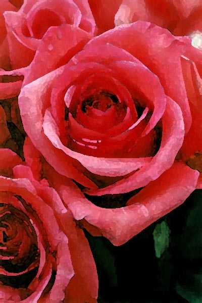 � 2004 Nancy C. Diamond, All Rights Reserved