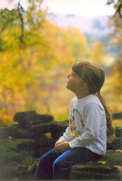 � 2003 Nancy C. Diamond, All Rights Reserved