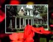 Edgecombe