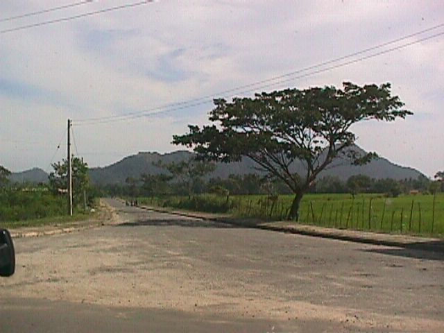 Wellawaya