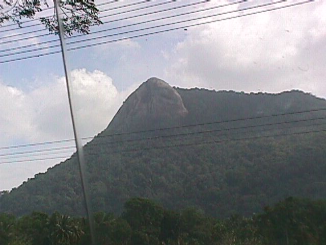 Wellawaya