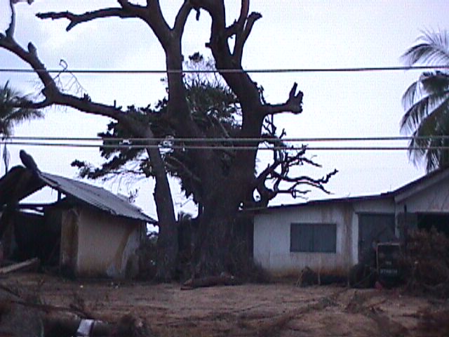 Tsunami devastation at Pothuwil