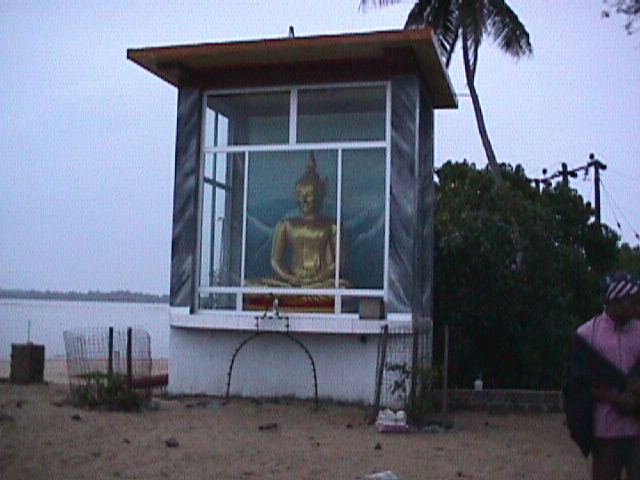 Tsunami devastation at Pothuwil - Undamaged Buddha Statue