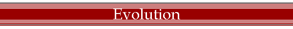 Evolution