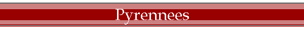 Pyrennees