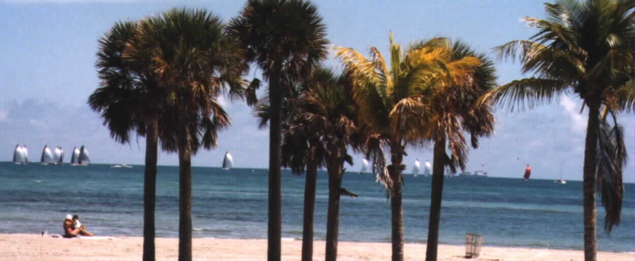 (Rare glimpse of sail boat race at large of Key Biscayne in March 2002)Picture taken by Noe Dorestant... Give credit where 
credit is due.