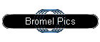Bromel Pics
